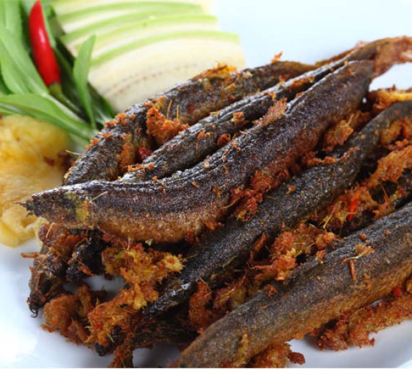 Cá chạch chiên nước mắm 